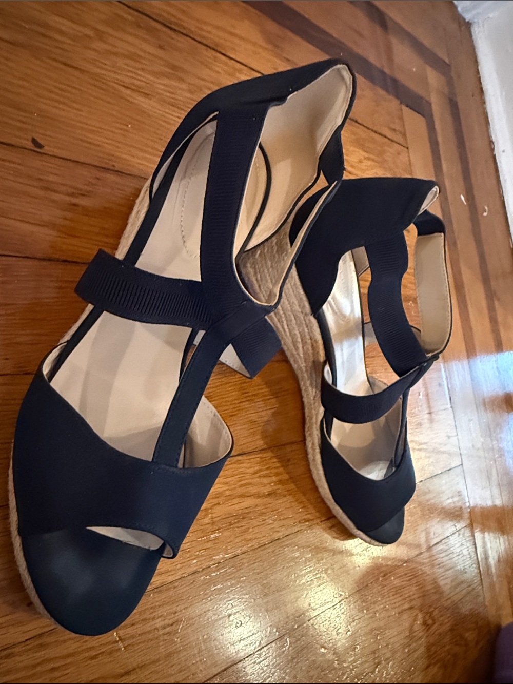 Bandolina Navy T-Strap Wedge Espadrille Sandal